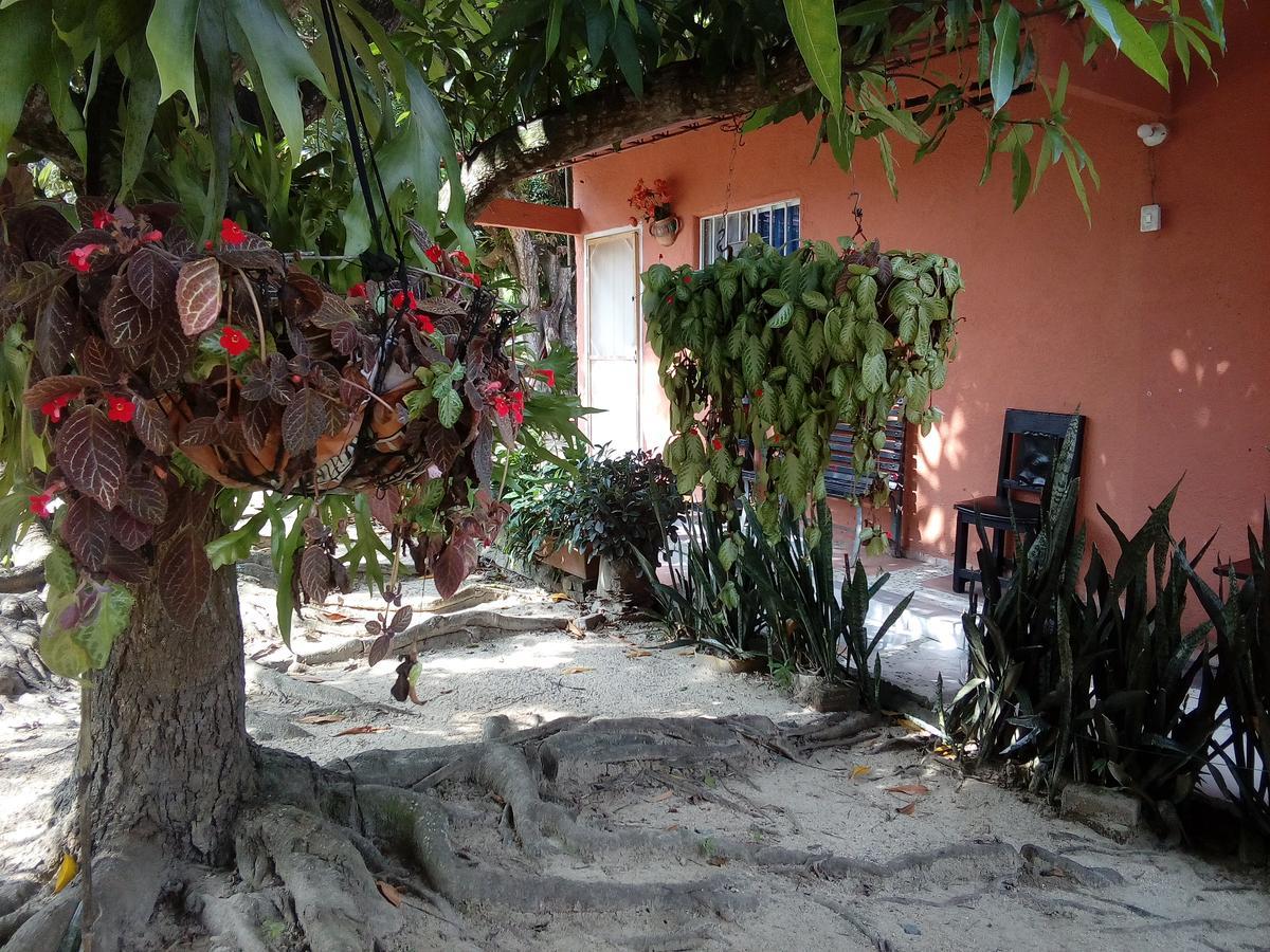 Hostel Finca La Gordita Calabazo  Exteriér fotografie
